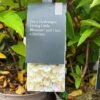 Hydrangea Paniculata 'Little Blossom' 5Ltr Pot -Longacres Shop 5019945247536