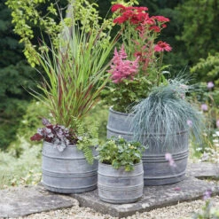 Longacres Shop 37 Longacres Shop -Longacres Shop 5021346423563 2