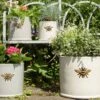 Woodlodge 29cm Wisteria Bee Cylinder Planter 1 Woodlodge 29cm Wisteria Bee Cylinder Planter -Longacres Shop 5021346427110 fa3cfc22 6889 45d8 b39f c047370bf042