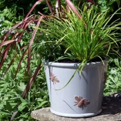 Longacres Shop 35 Longacres Shop -Longacres Shop 5021346434620 2