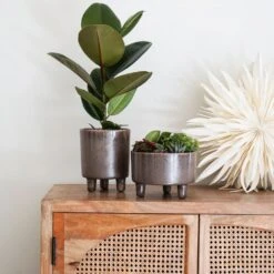 Ivyline 19cm Mocha Pisa Bowl Indoor Houseplant Pot -Longacres Shop 5055352850235 3