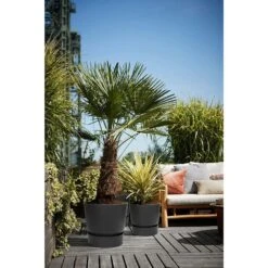 Elho 25cm Living Black Greenville Round Planter -Longacres Shop 8711904332334 5