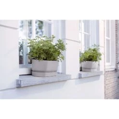 Elho 50cm Living Concrete Greenvillle Long Trough Planter 10 Elho 50cm Living Concrete Greenvillle Long Trough Planter -Longacres Shop 8711904358440 4