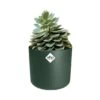 Elho 30cm Leaf Green B.For Soft Round Pot -Longacres Shop 8711904494582 9b3c5d1b f0ea 4a14 bbbc 6758035a87a6